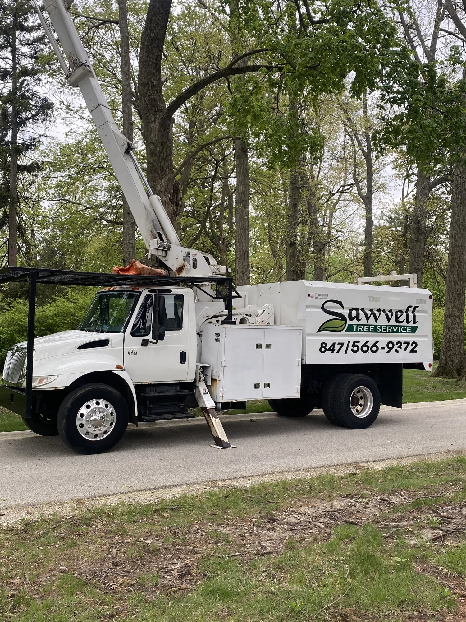Storm Prep & Tree Inspection in Lake County & the North Shore: Protect Your Property Before Severe Weather Hits