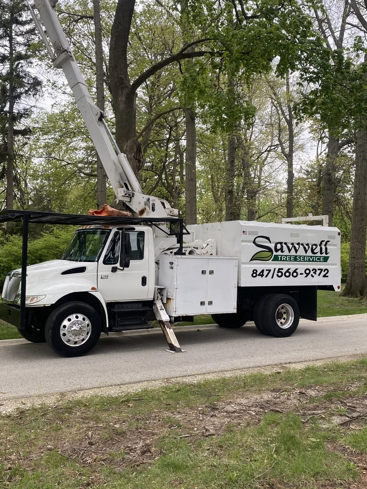 Storm Prep & Tree Inspection in Lake County & the North Shore: Protect Your Property Before Severe Weather Hits
