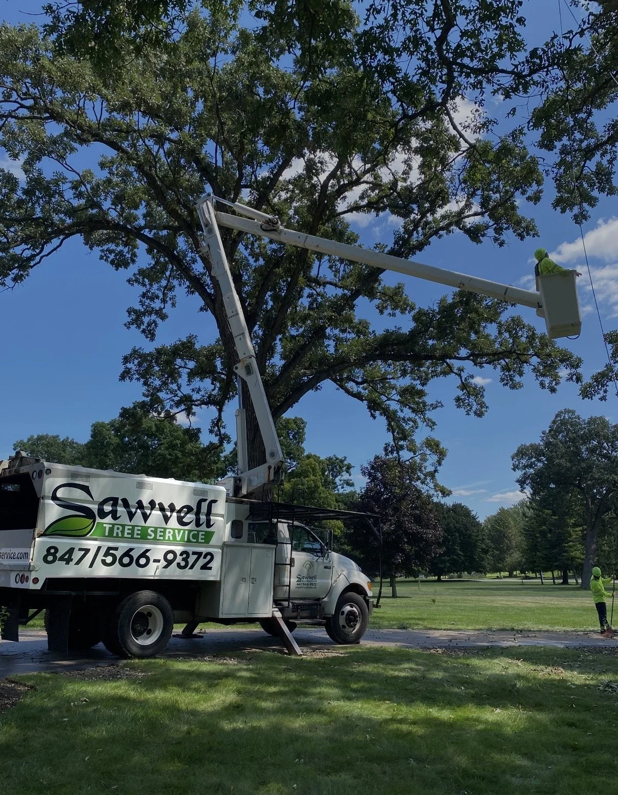 🌳 PROJECT PRUNING TIME IS HERE!
