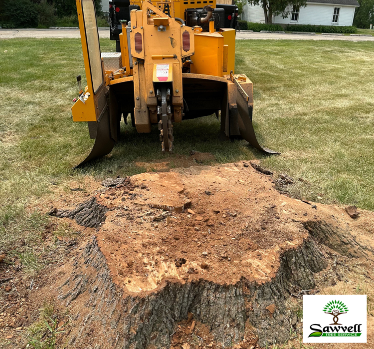 Stump removal — Lake County