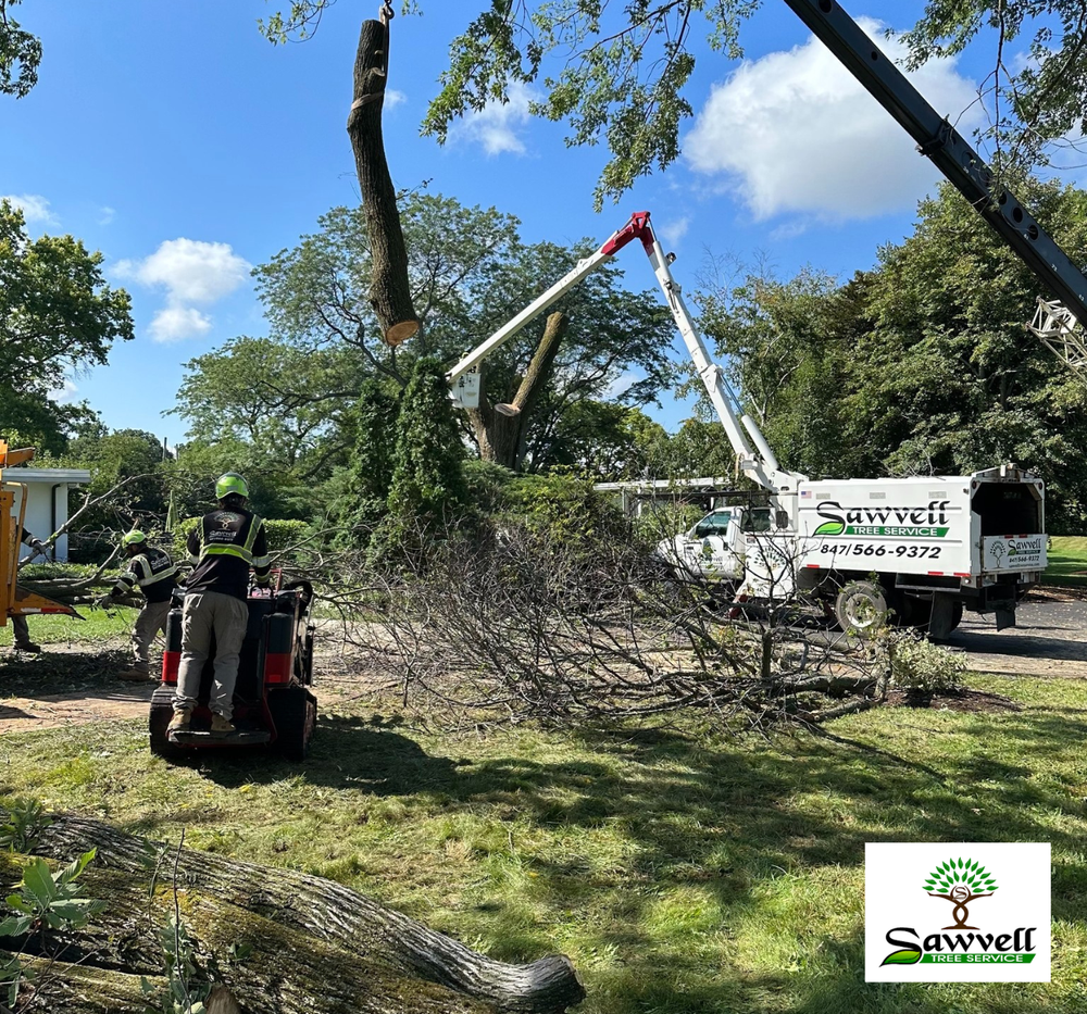 24/7 Emergency & Storm Service