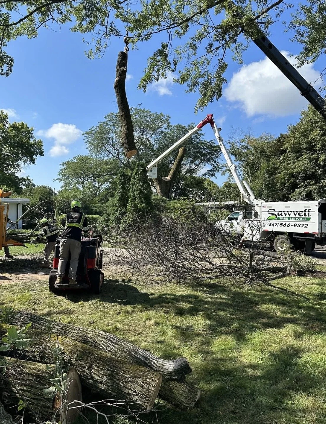 Winnetka Tree Trimming.jpg