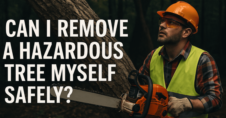 Can I Remove a Hazardous Tree Myself Safely?