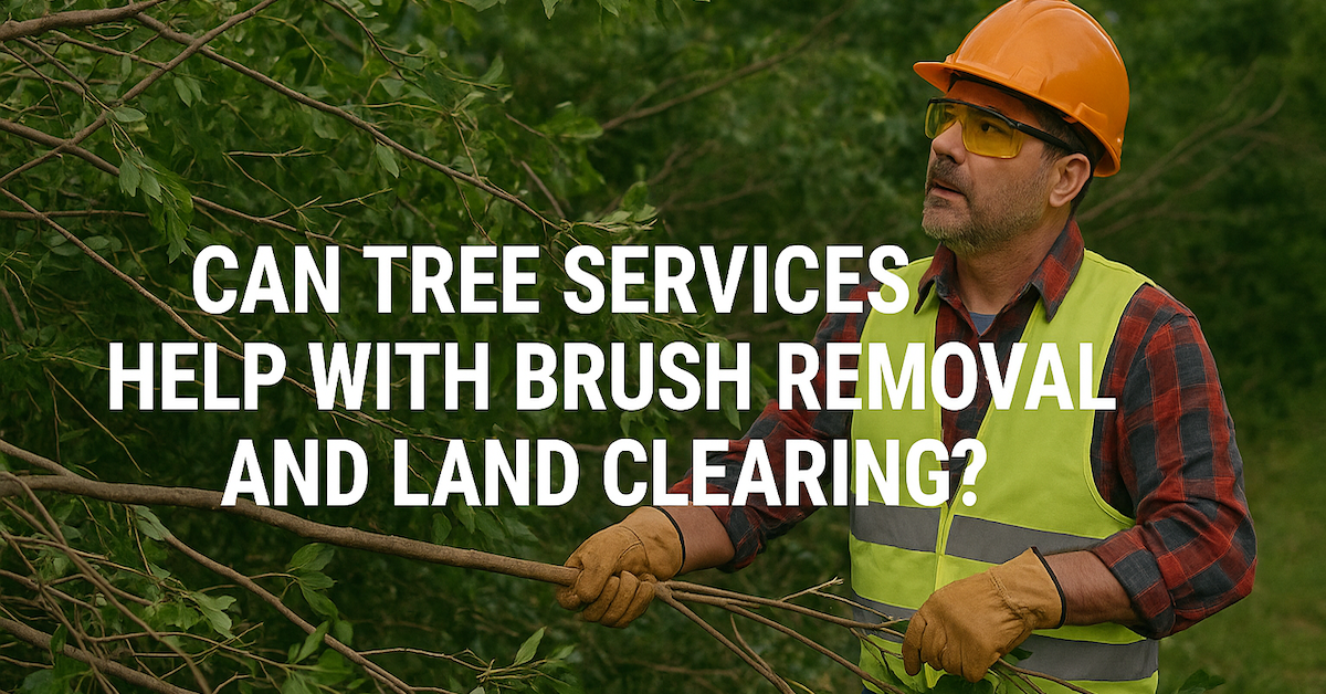 Can Tree Services Help with Brush Removal and Land Clearing?