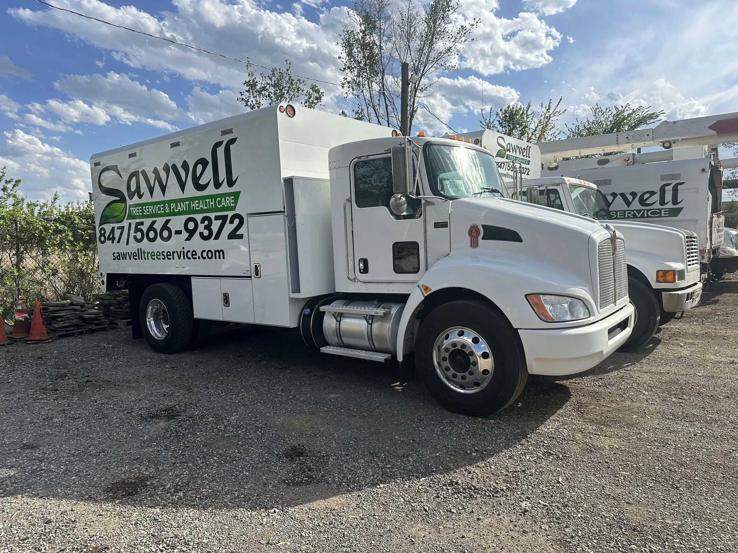 TREE SERVICE NEAR ME