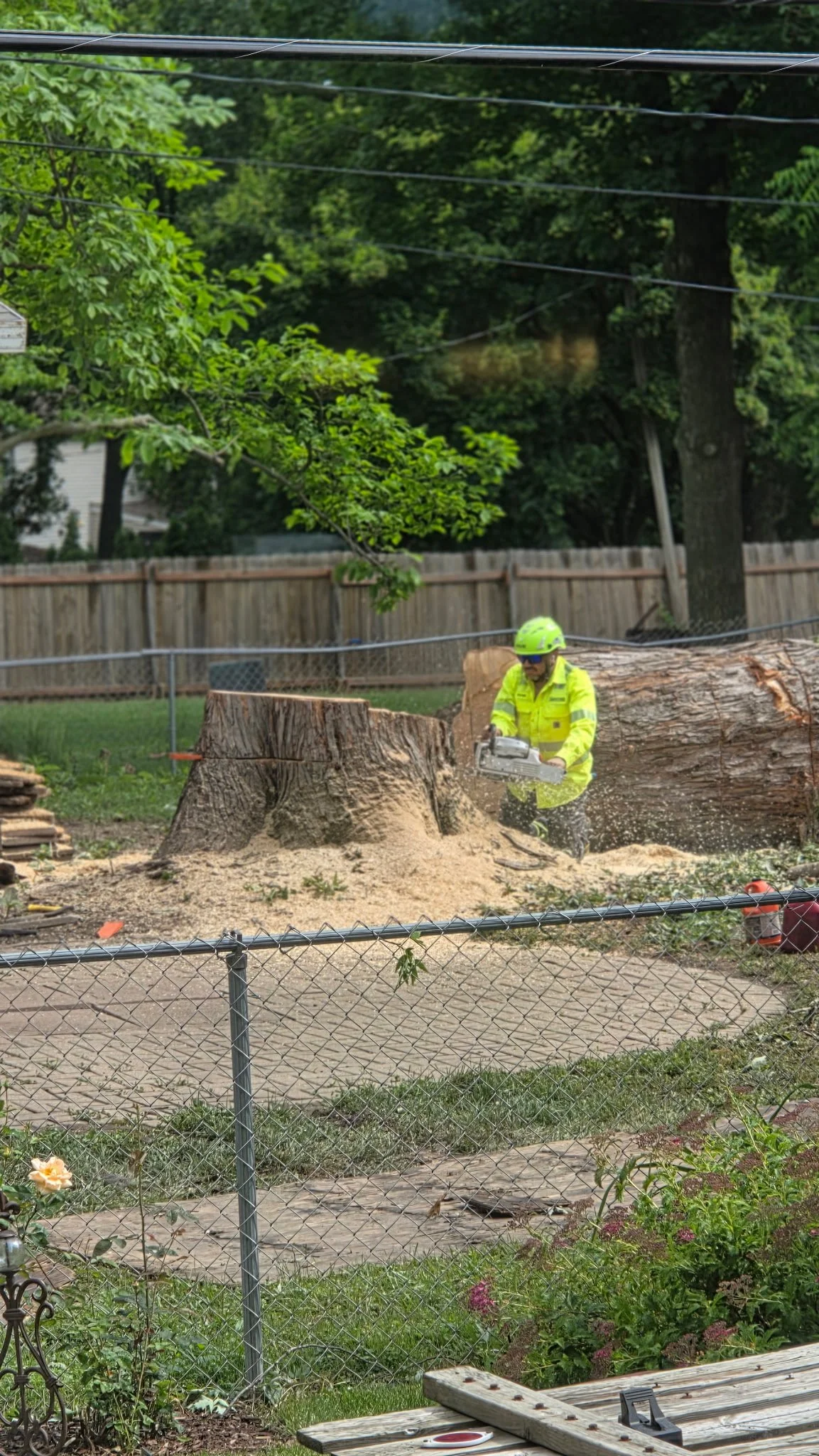 TREE-REMOVAL-LAKECOUNTY.JPG