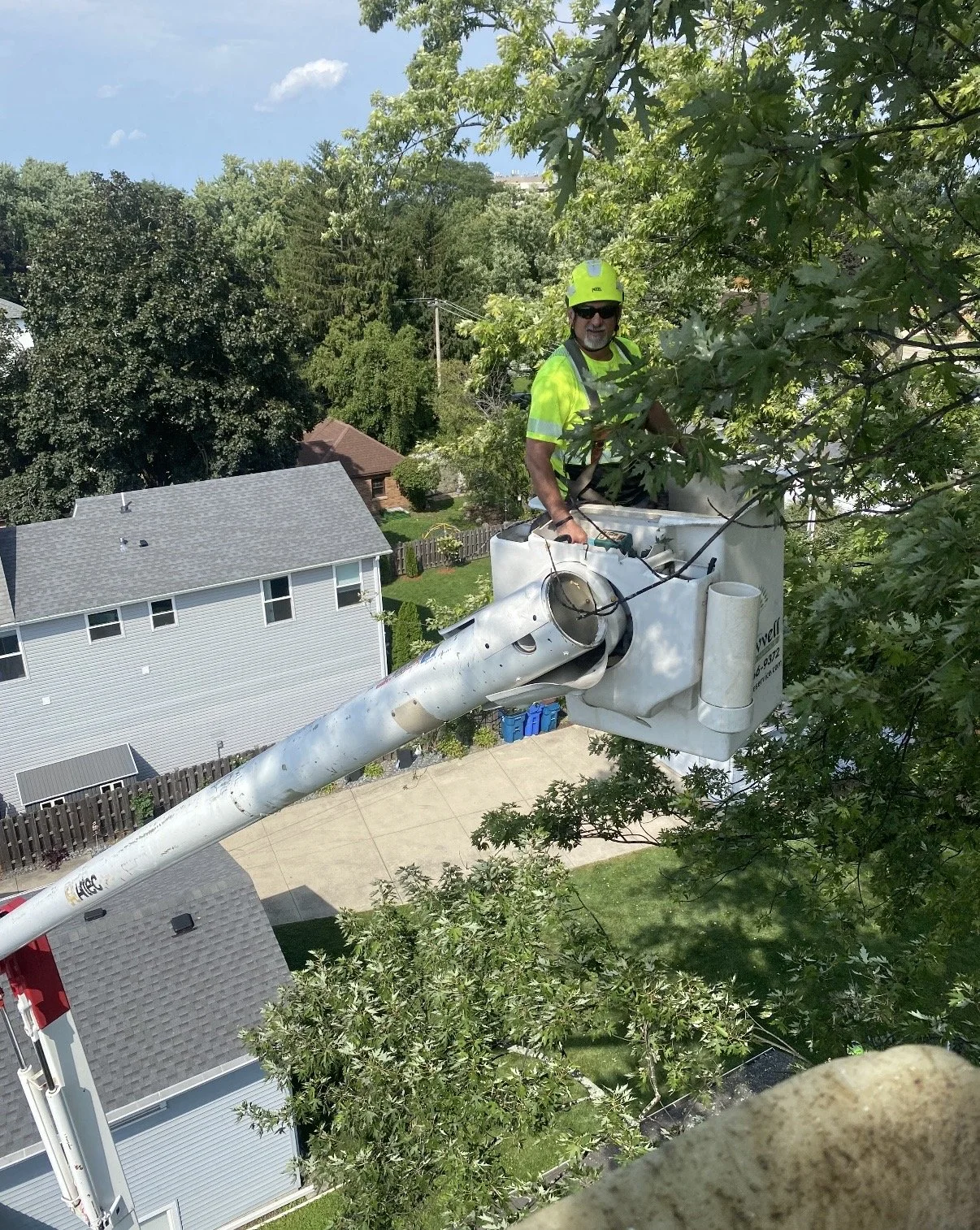 arborist in Lake Forest.jpg
