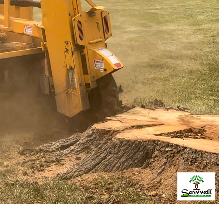 Stump grinding