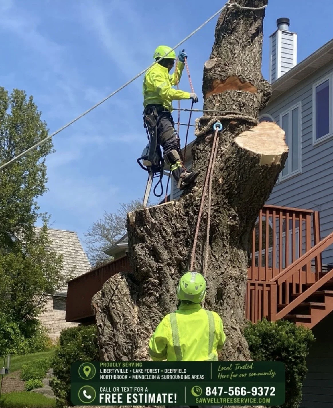 libertyville-bradfordtree-removal-grayslake.jpeg