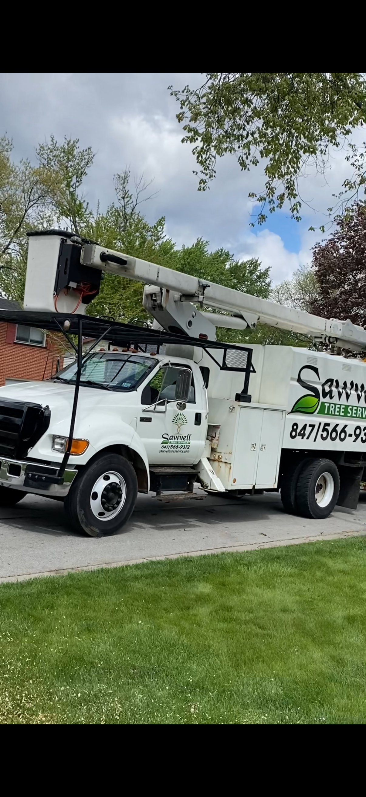 TREE SERVICE
