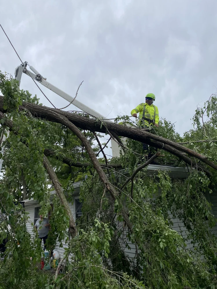 Wilmette — North Shore
