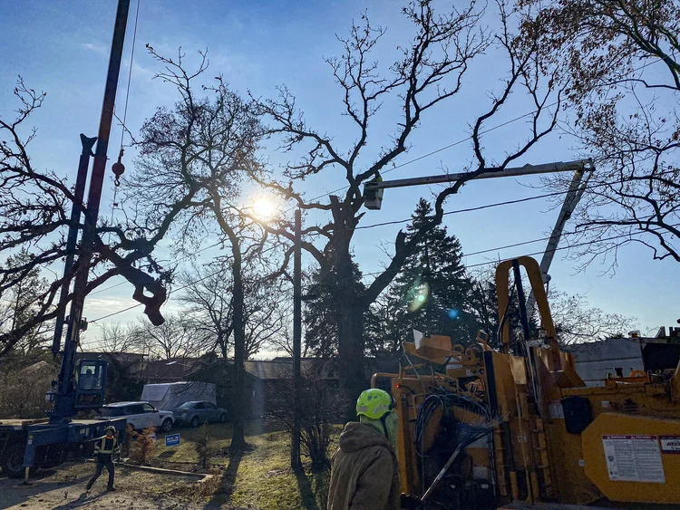Crane job