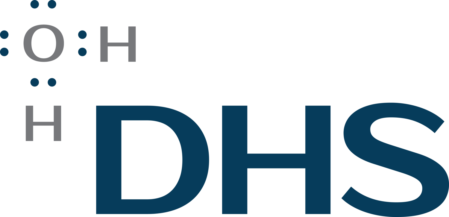 DHS Systems Inc.