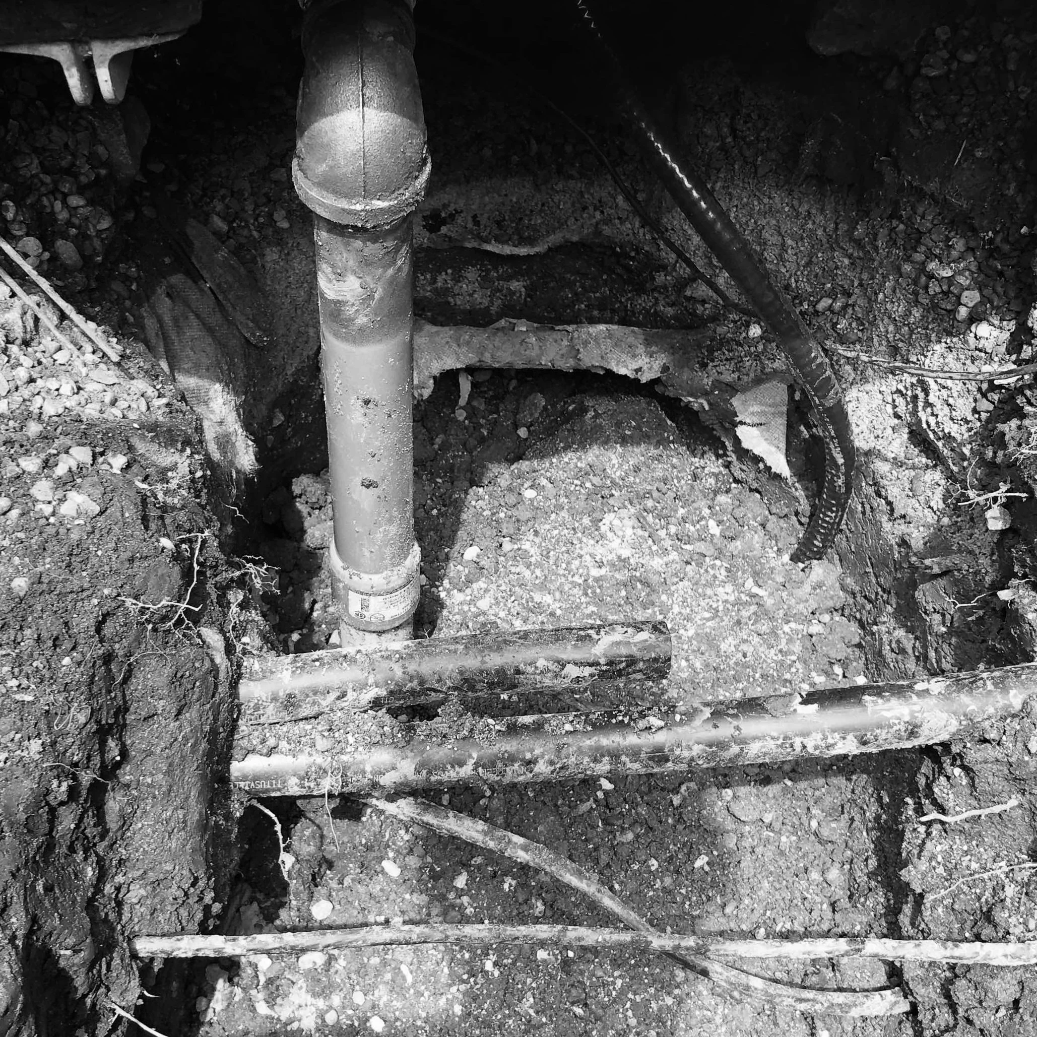 Underground utility pipe with surrounding soil and roots.