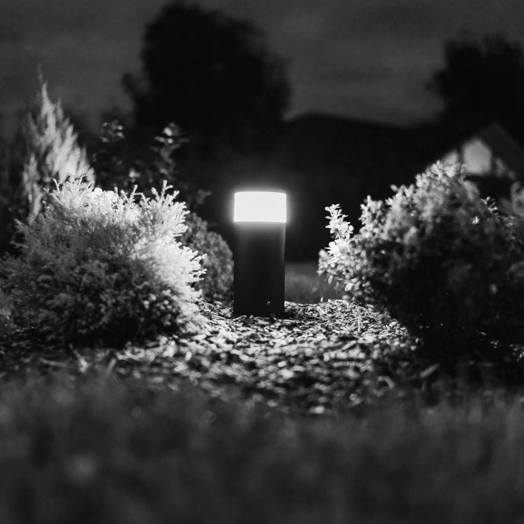 Nighttime scene of a landscape lighting.