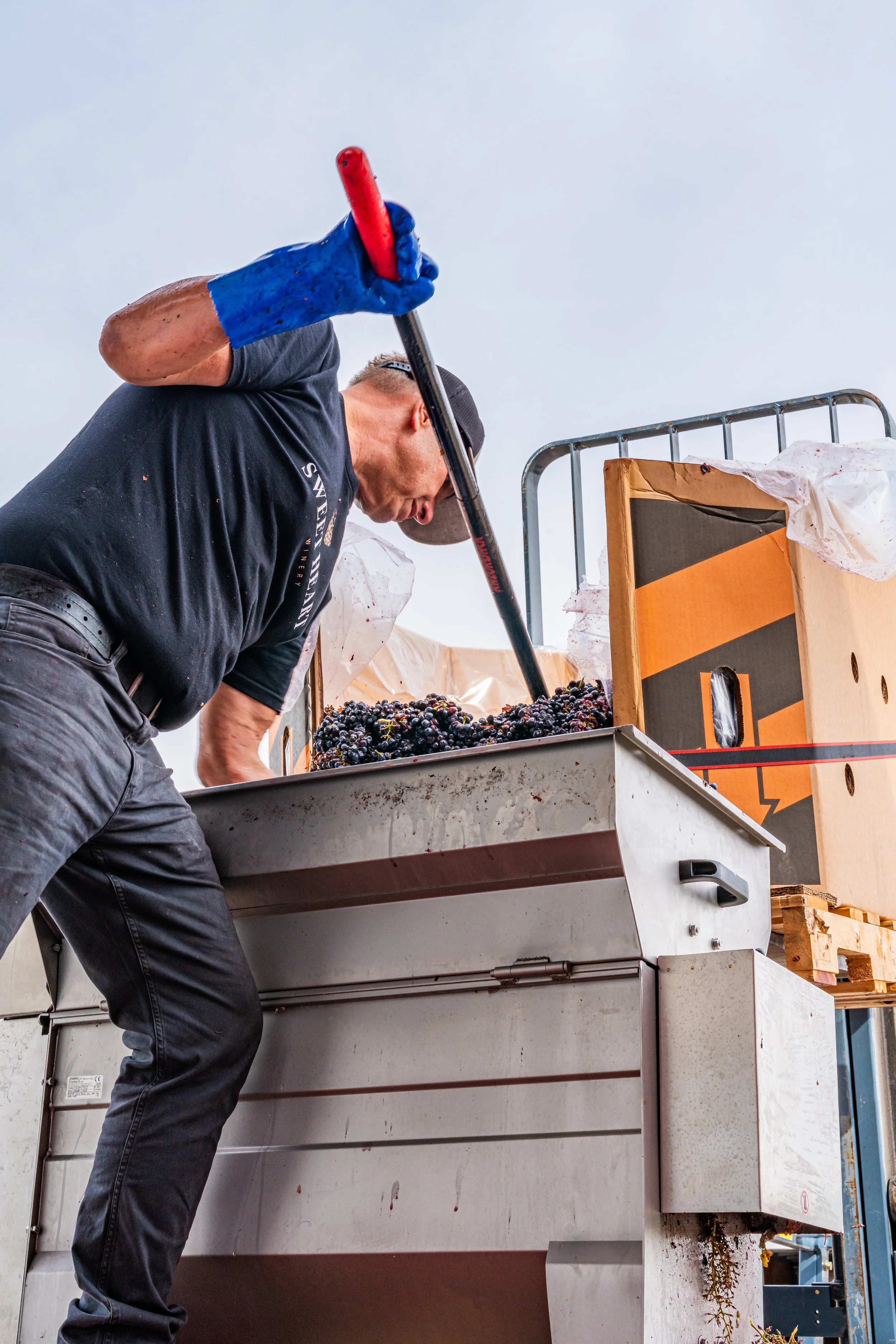 Sweet Heart Winery Video Project 015.jpg