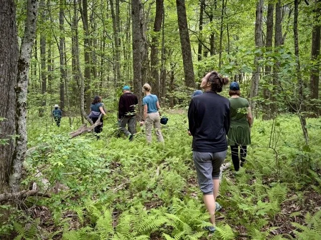 Group_Walking_The Mountain.jpeg