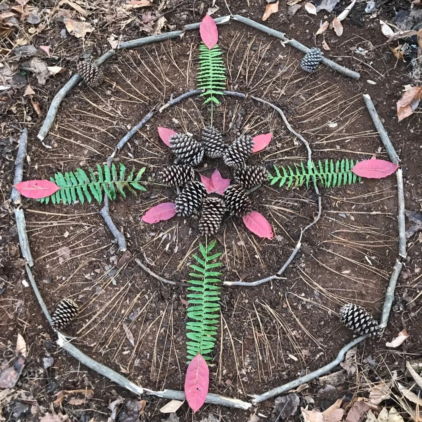 mandala+Nov+28+2024.jpg