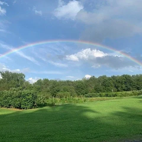 Rainbow.jpg