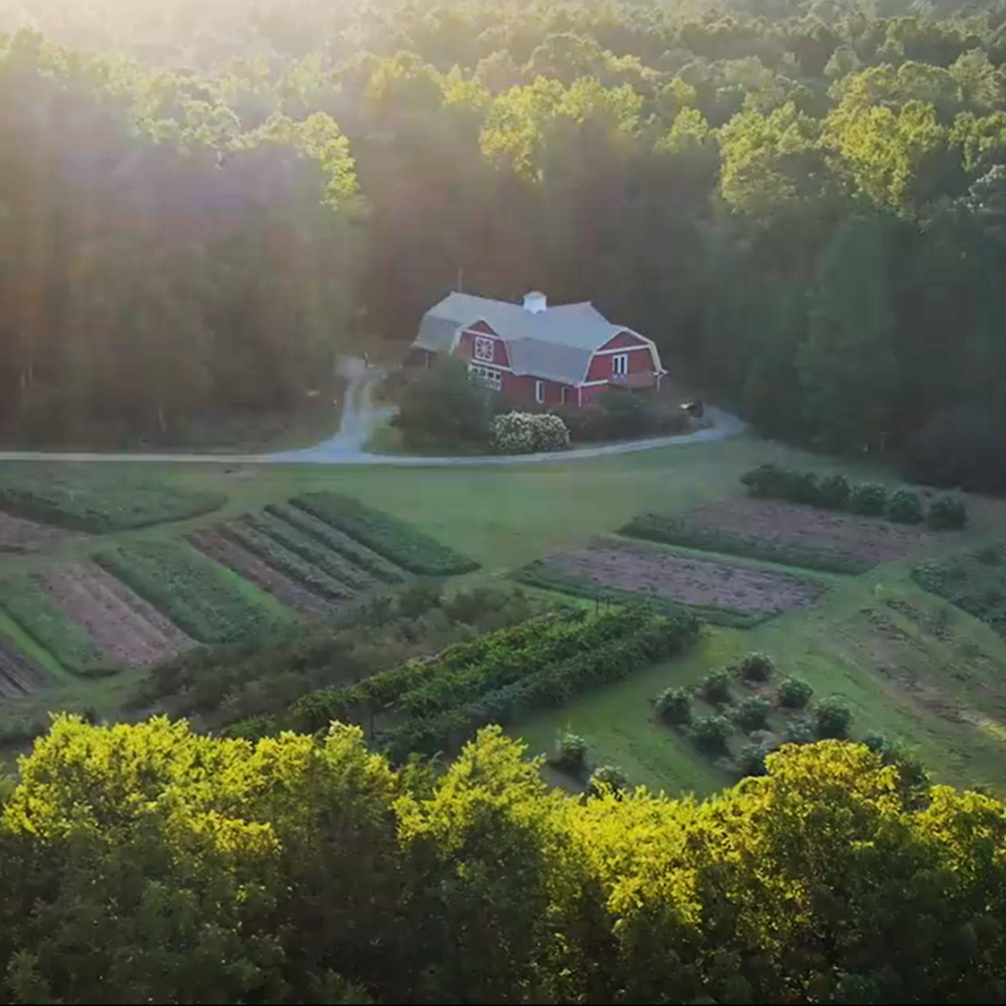 Drone+shot+of+farm+light+%281%29.png