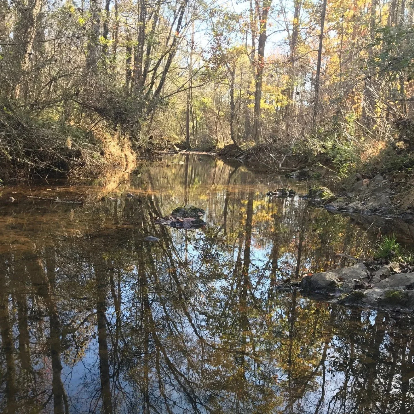 New+Hope+Creek+at+RambleRill.jpg