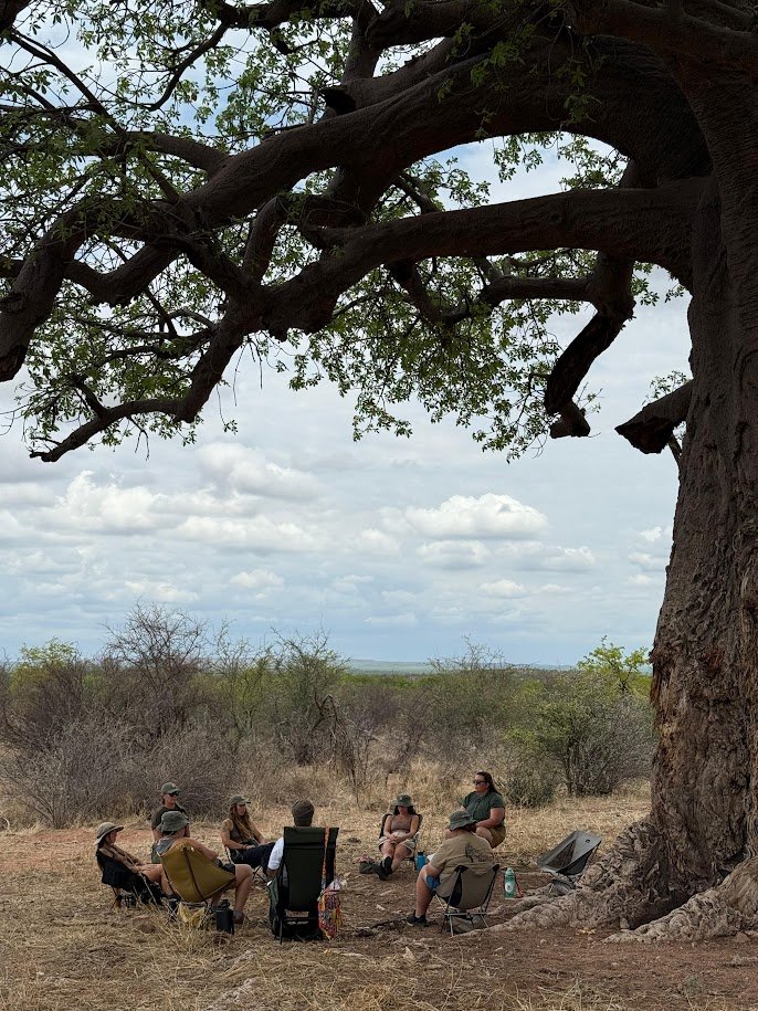 meditation under the baobab.jpg