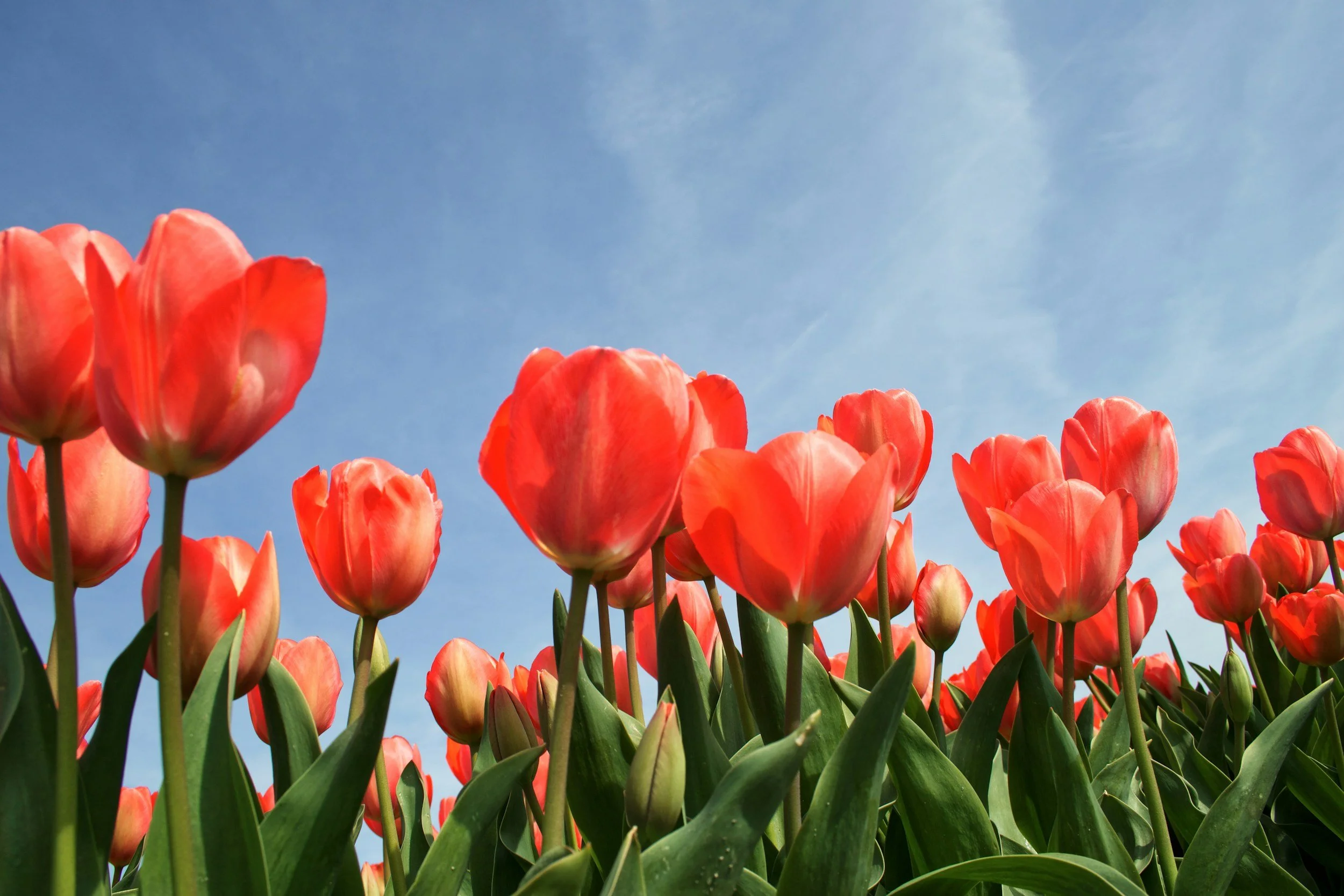 PA: In-Person Training Retreat in Brandywine Valley