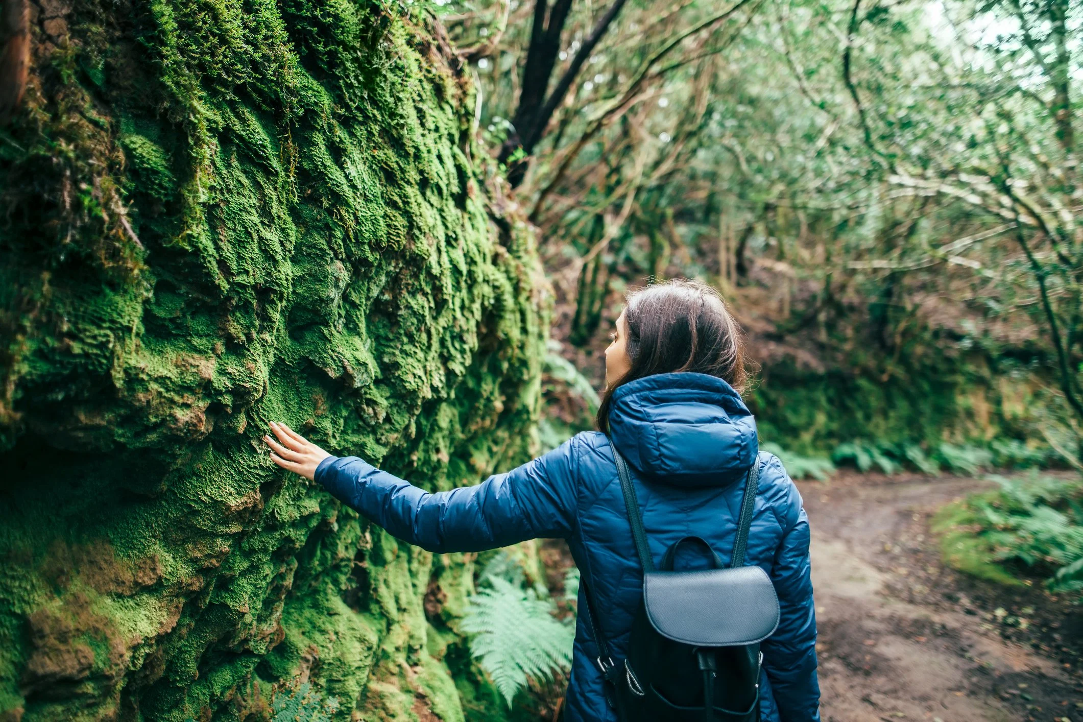 Forest Therapy Guide Training and Certification — The Forest Therapy ...