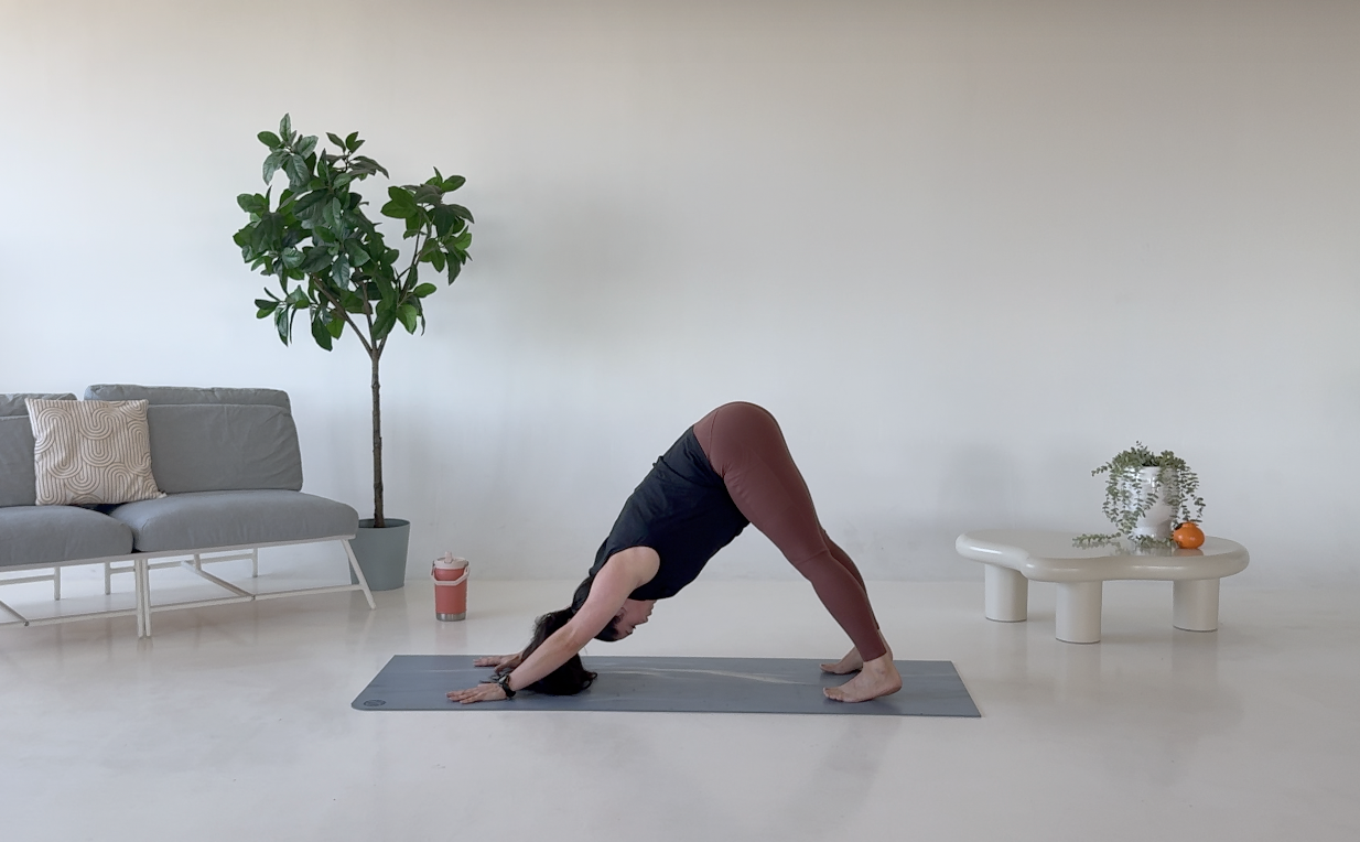 Capture d’écran 2026-02-09 à 10.29.36.png