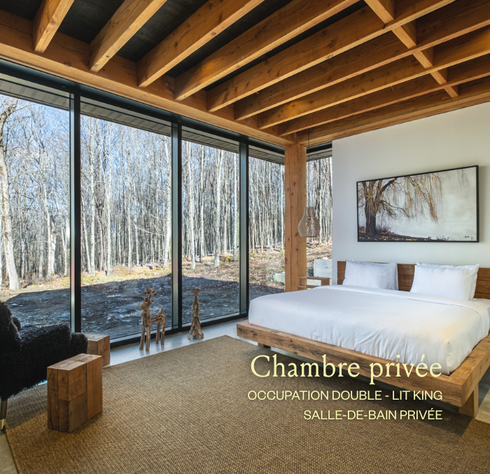 chambre 3-king.png (Copy)