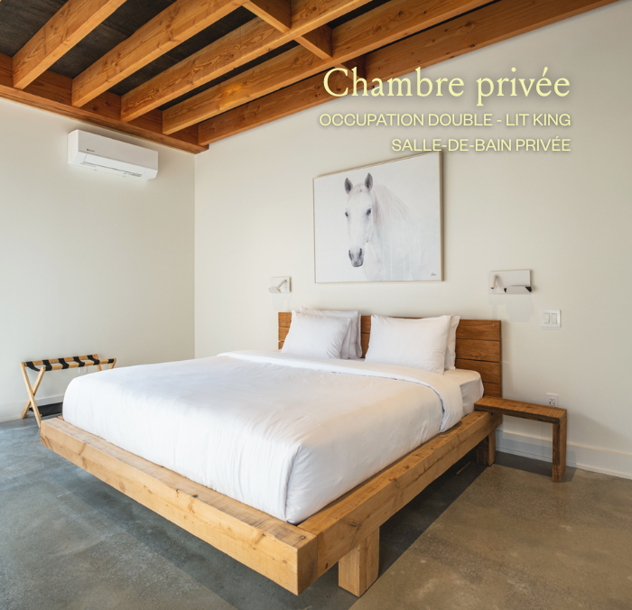 chambre 4 - king.png (Copy)