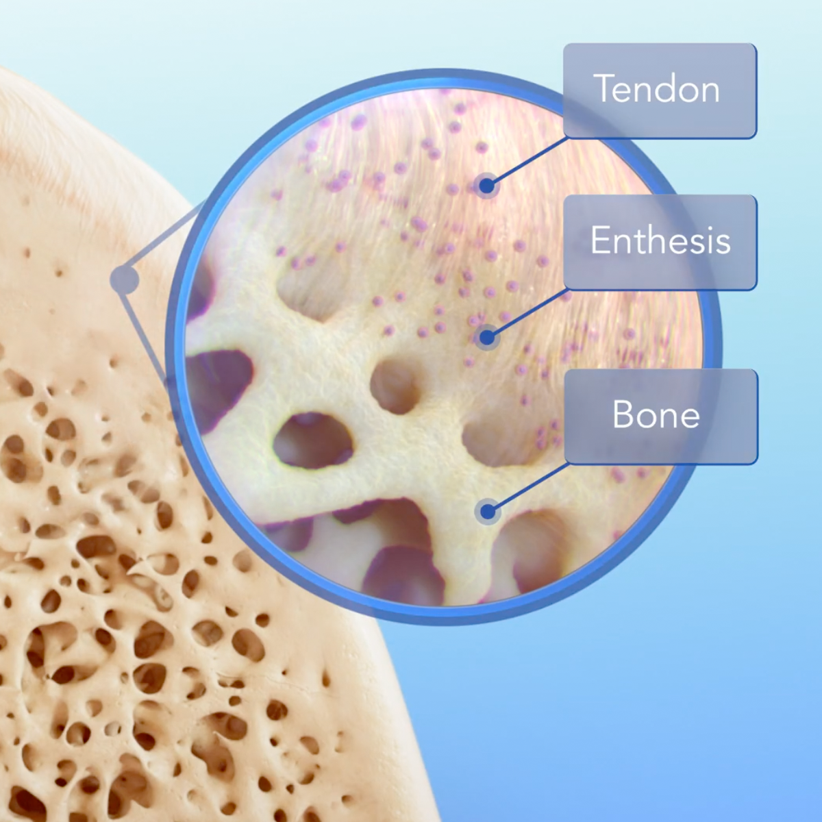 Seamless, Scalable, Smart: Tetrous® Kicks Off Multinational Data Collection with Akunah