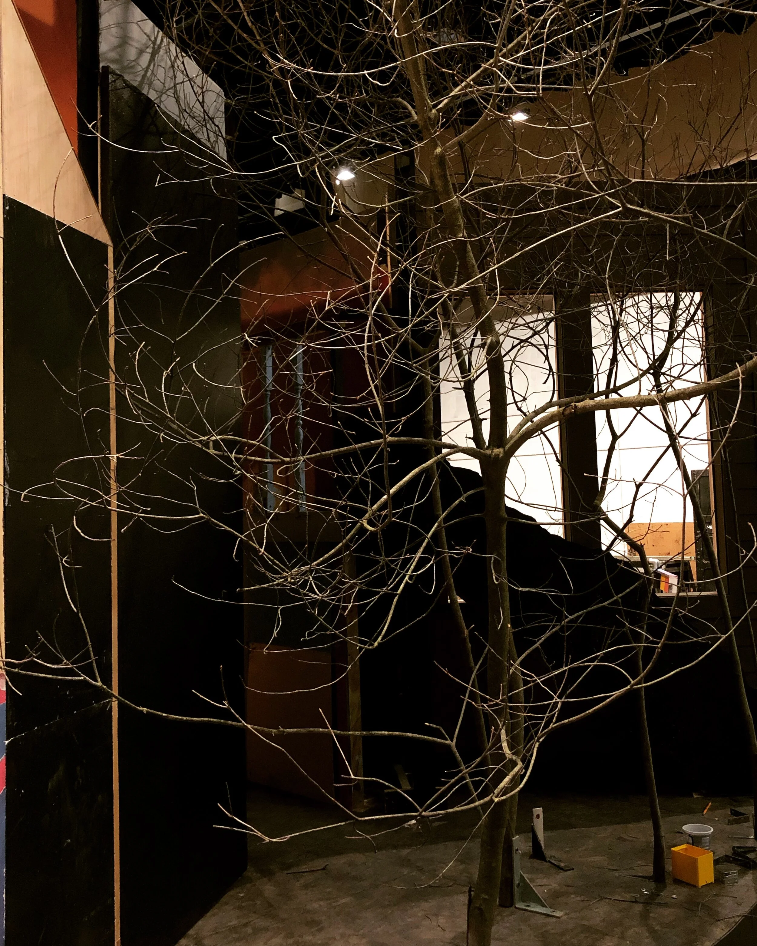 Tree installation