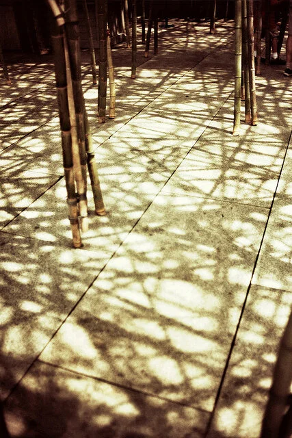 Research: bamboo shadows
