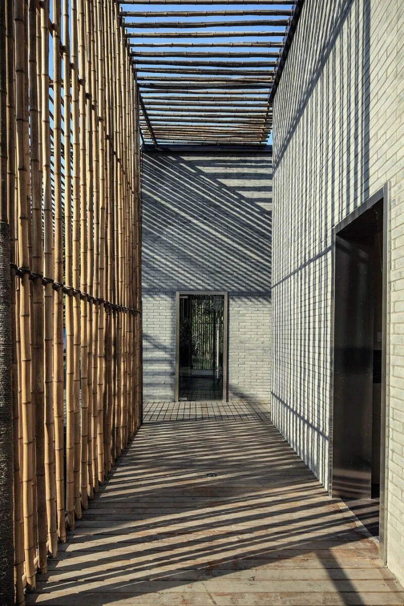 bamboo shadow.jpg