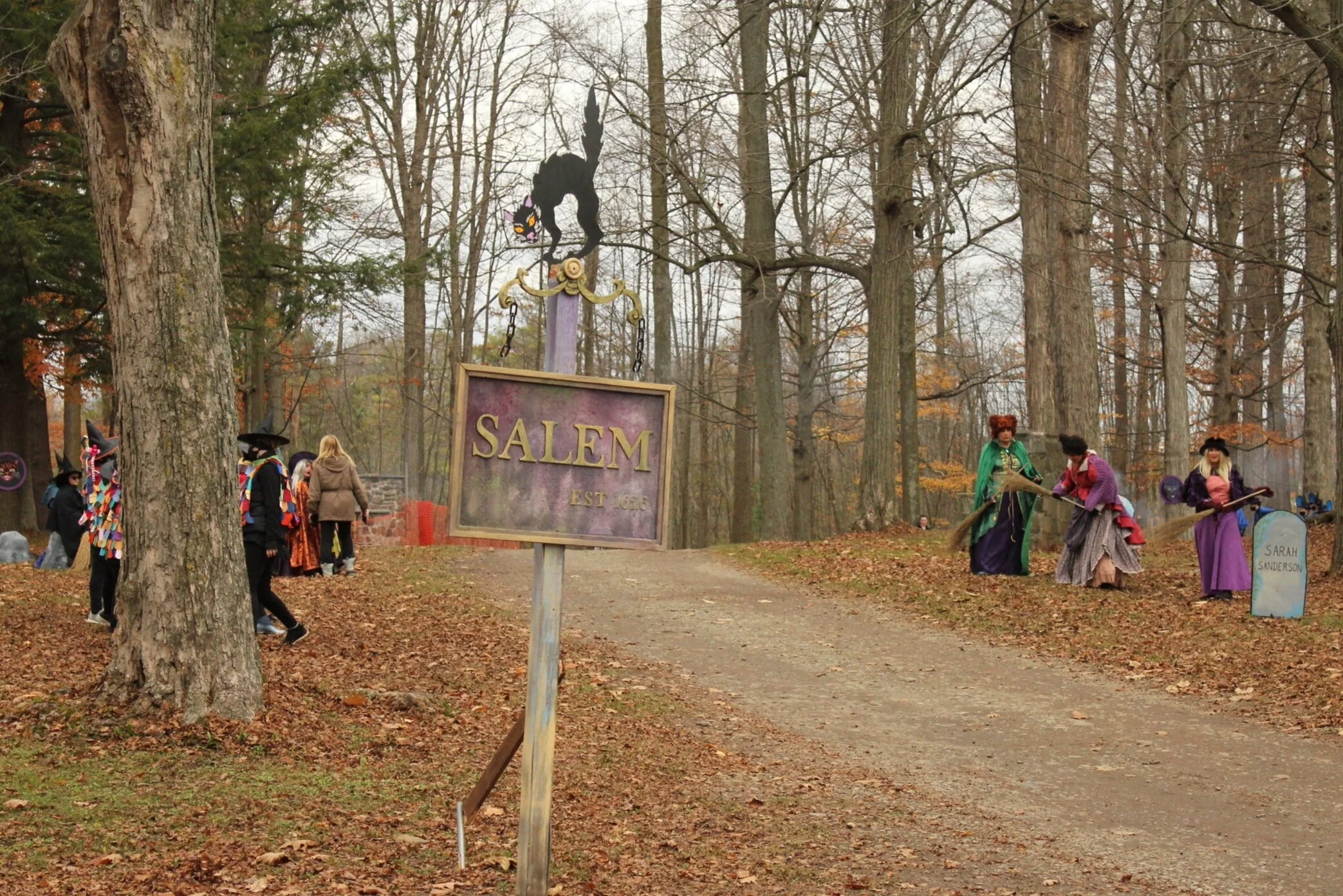 Salem sign with witches
photo by Eric Behnke