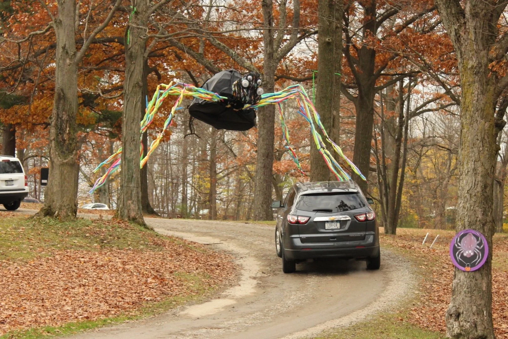 Spider puppet became a drive thru feature
photo by Eric Behnke