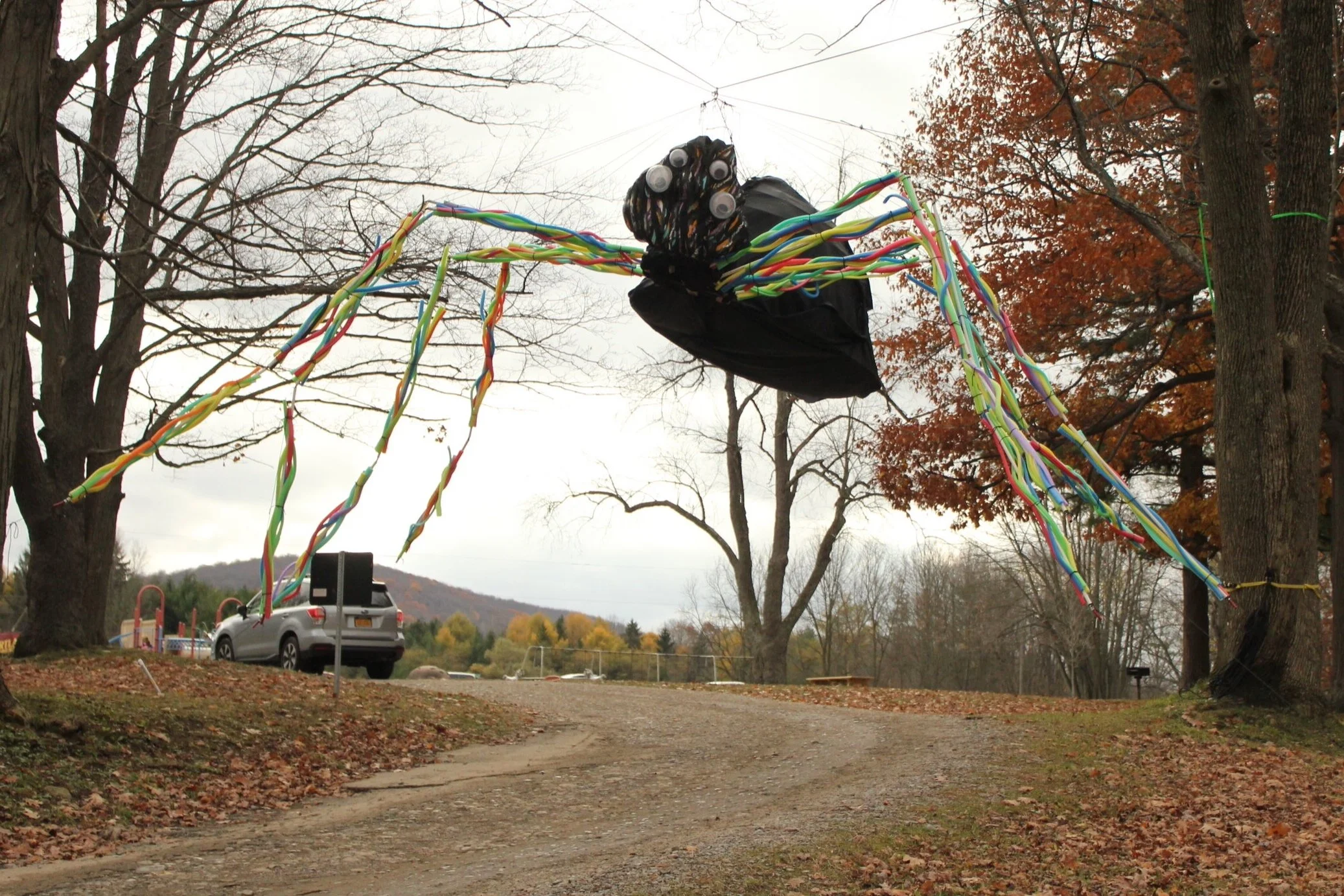 Spider puppet
photo by Eric Behnke