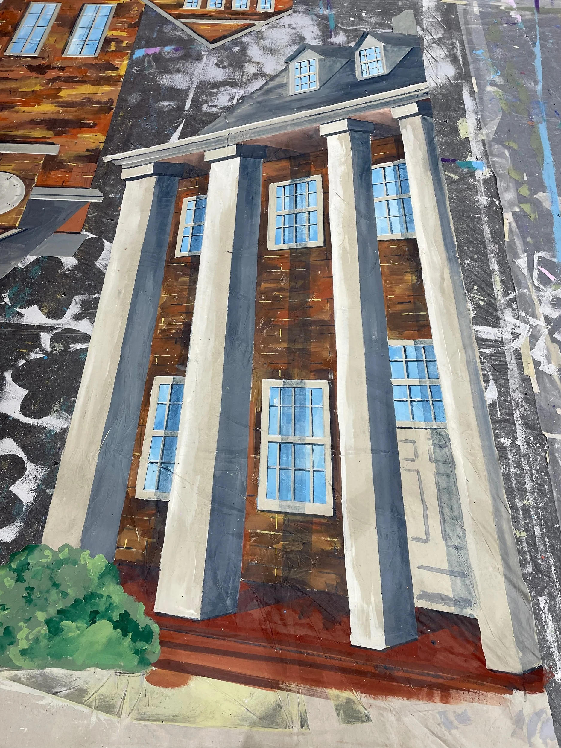 Painted Net Drop- Auburn University
10ftx15ft