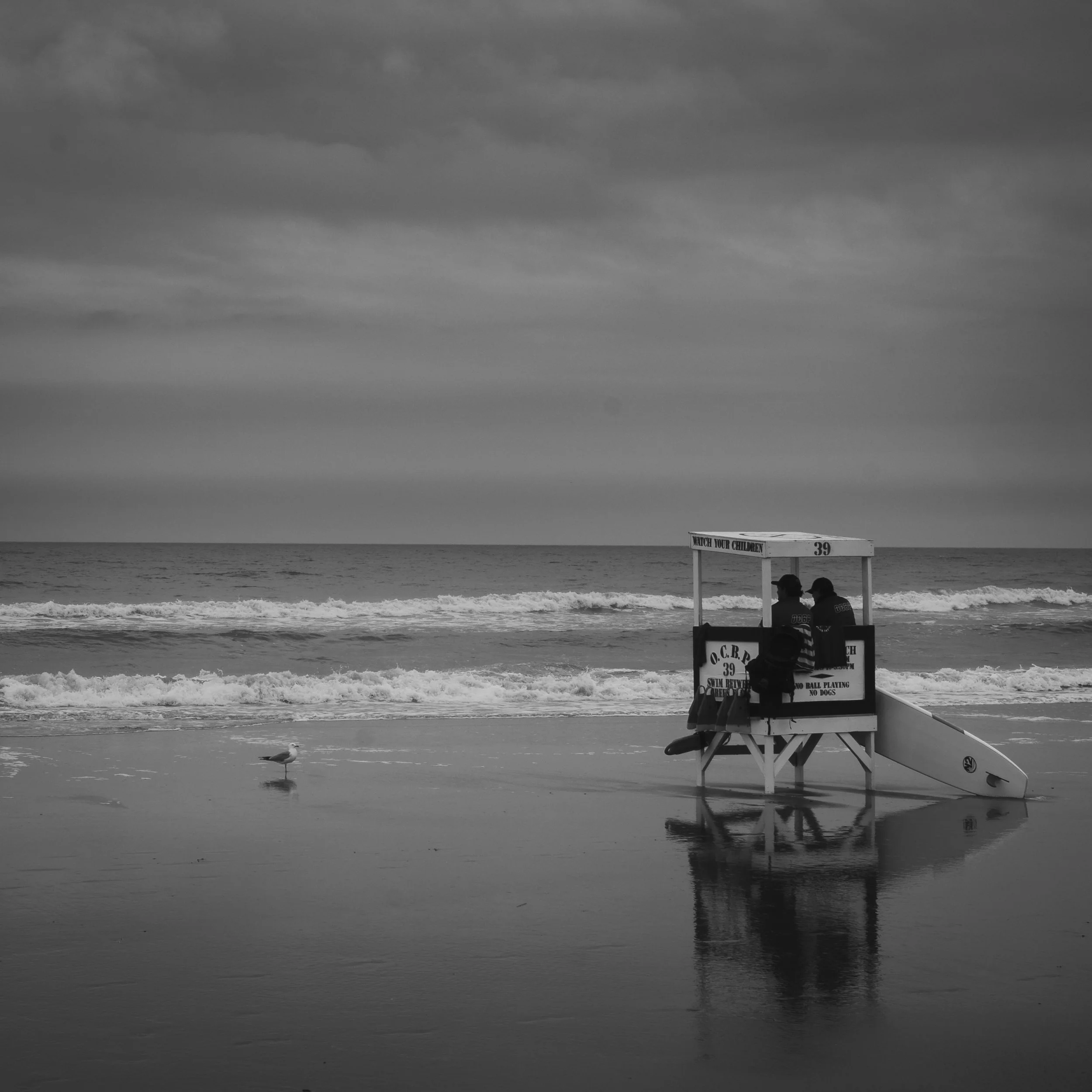 DSC_4925.jpg
