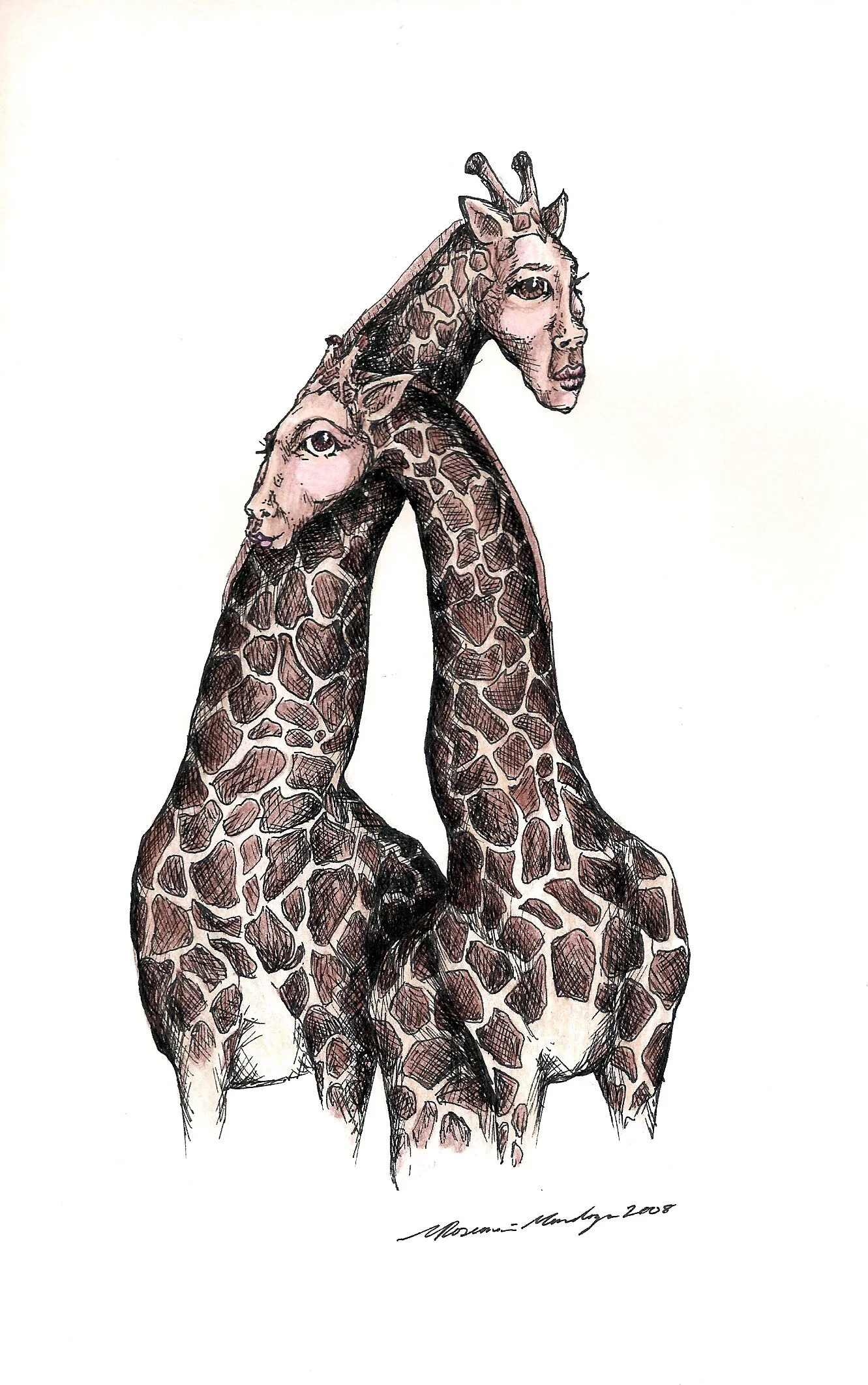 giraffes.jpg