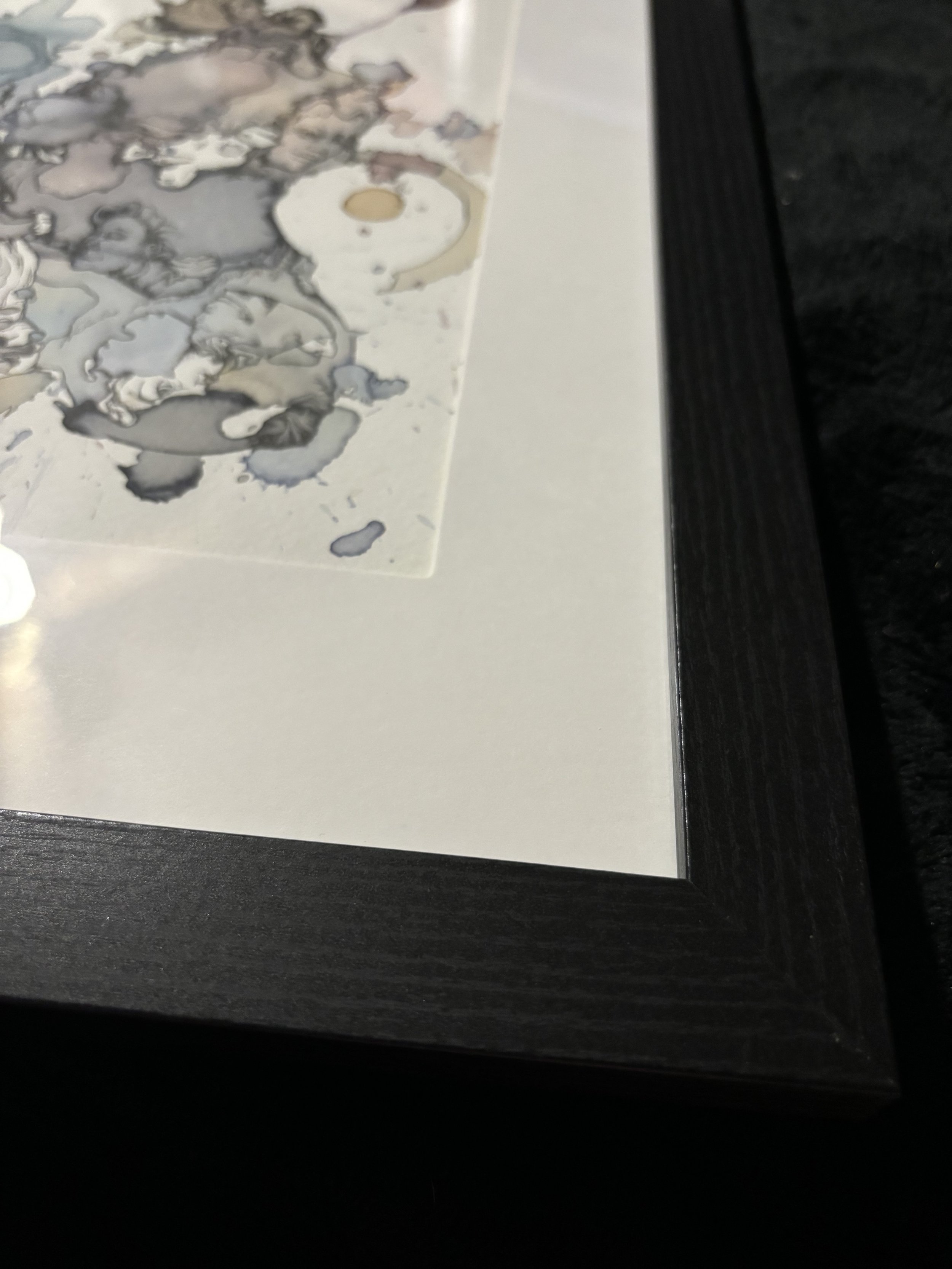 IMG_1281.jpeg