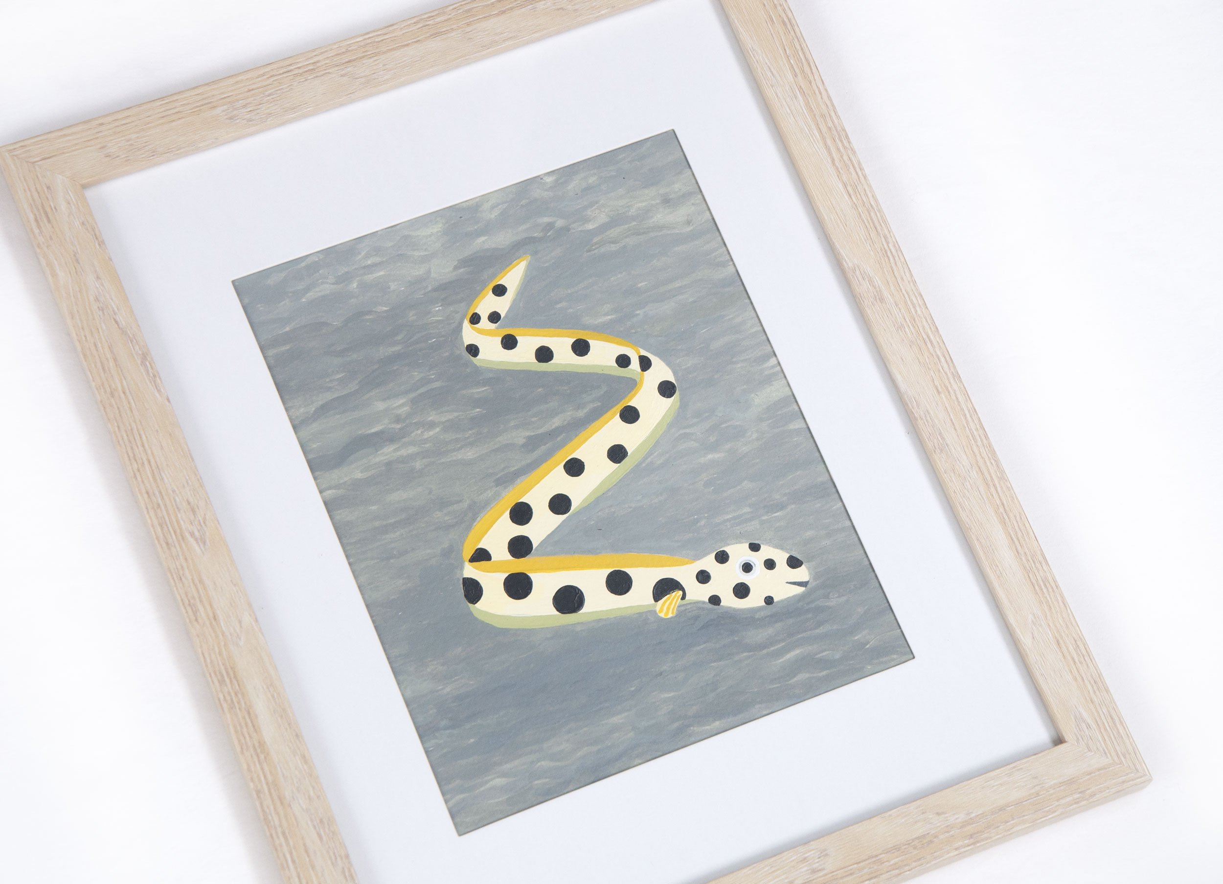 Eel_DSC1483.jpg