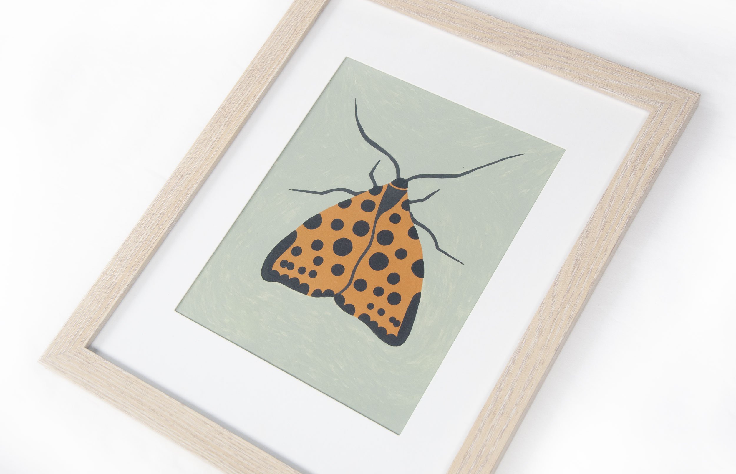 Moth_DSC1494.jpg