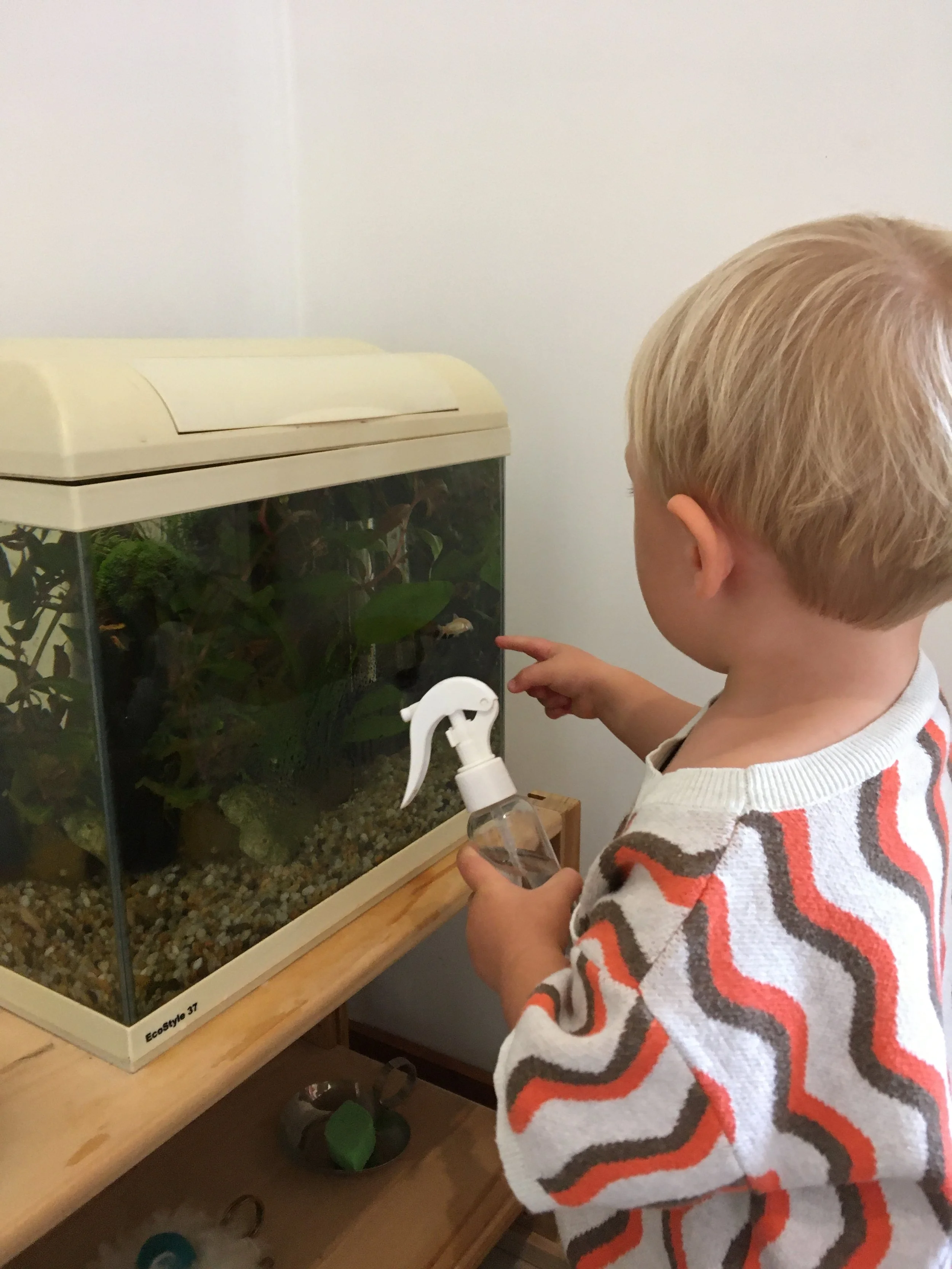 Good Adaptation Leads to Transformation of the Environment