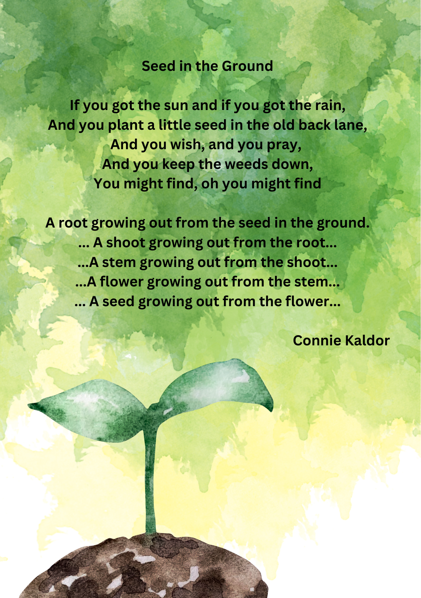 A seed in the ground.png