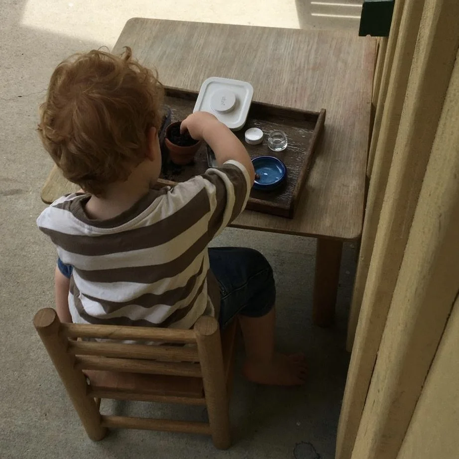 Toddler planting a seed in a pot