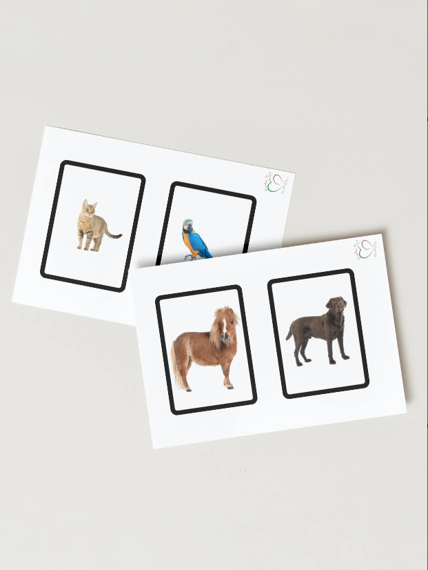 Toddler Classified Cards - Pets