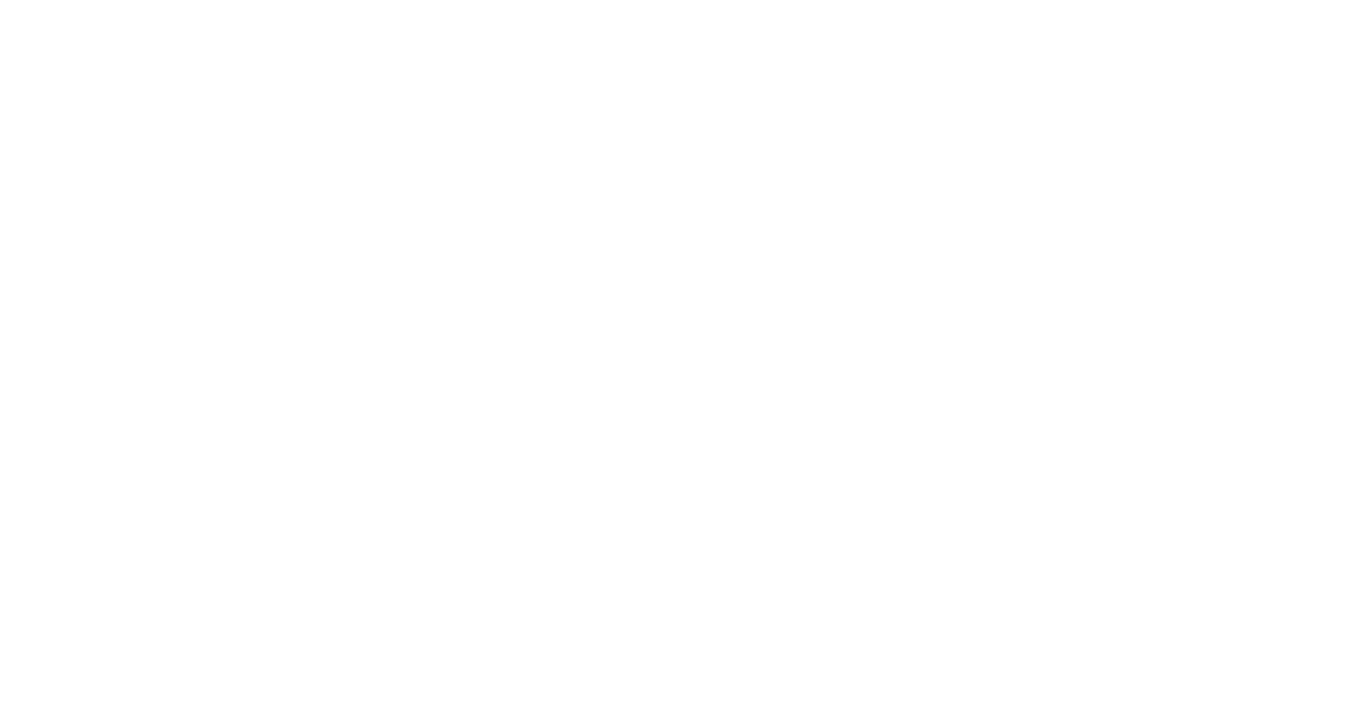 The Postpartum Concierge