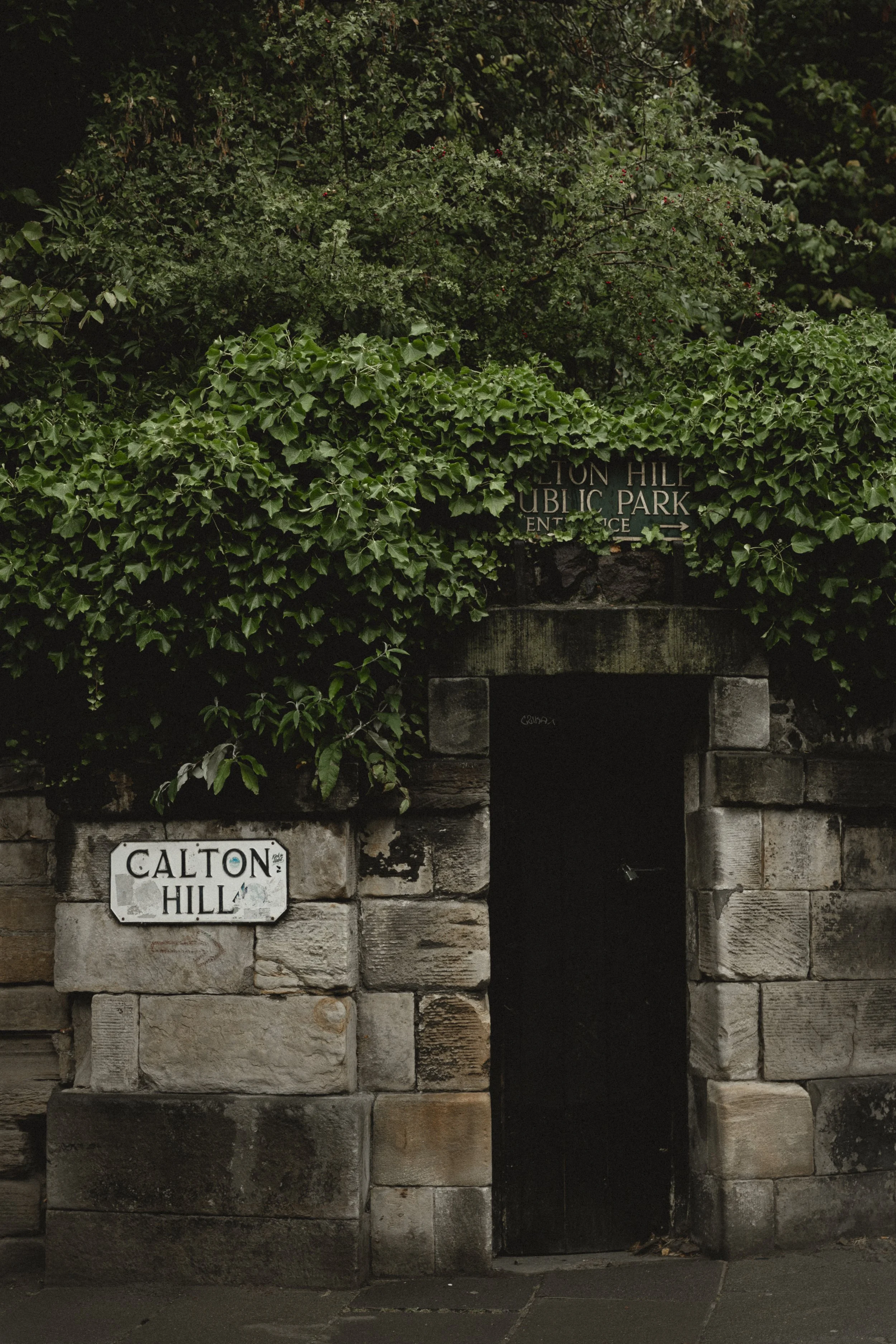 foggyedinburgh-0423.jpg